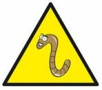 Worm Charming Worm Charming