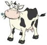 Cow Patty Bingo Cow Patty Bingo
