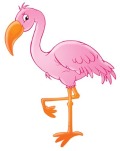 Flamingo Flocking