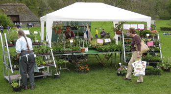 Fundraise Plant Sale