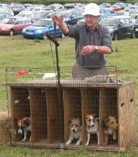 Terrier Racing Starting Gate