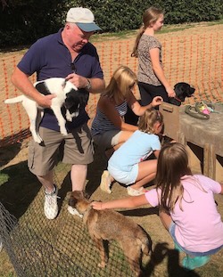 Loading Racing Terriers into the Traps