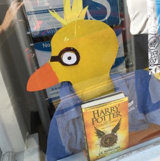 Lyme Regis Carnival Duck Competition Harry Potter