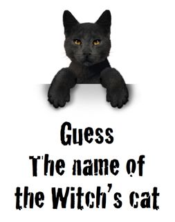 Guess the name of the Witch's Cat Halloween Fundraiser