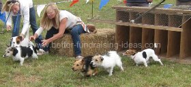 Terrier Racing