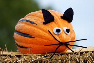 Decorated Pumpkin Competition
