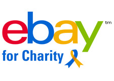 Ebay for charity