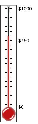 Fundraising Thermometer