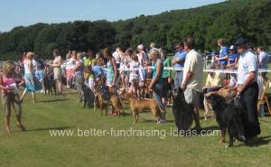 Charity Dog Show