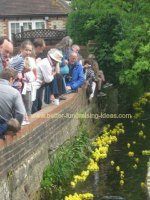 Charity Duck Race