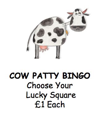 Cow Patty Bingo Poster