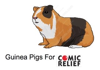 Guinea Pig Fundraising Idea