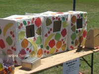Human Fruit Machine Fete Stall