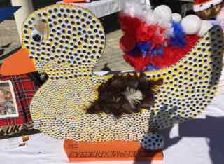 Lyme Regis Duck Competition - Eyederdown Duck