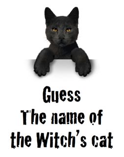 Guess the name of the Witch's Cat Halloween Fundraiser