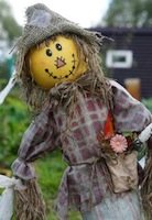 Novel fundraising idea scarecrow festival