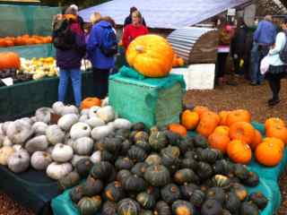 Pumpkin Sale