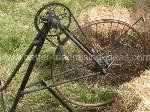 Terrier Race Equipment
