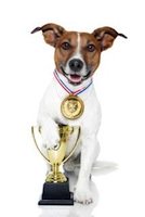 Terrier Racing Champion