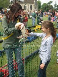 Ferret Racing 