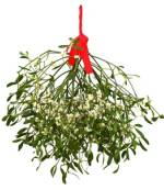 Mistletoe fundraiser