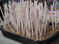 Lucky Straws Fundraiser